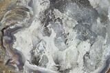 Crystal Filled Dugway Geode (Polished Half) #121734-1